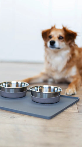 Messy Mutts Silicone Non-Slip Pet Bowl Mat with Raised Edge (16 x 12, Cool Grey)