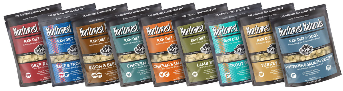 Northwest Naturals Beef & Trout Nuggets Freeze-Dried Dog Treats