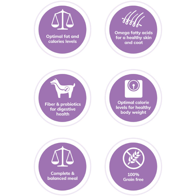 Wellness CORE Small Breed Healthy Weight Dog Food Damariscotta