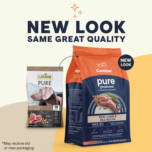 Wheat free dog outlet food brands