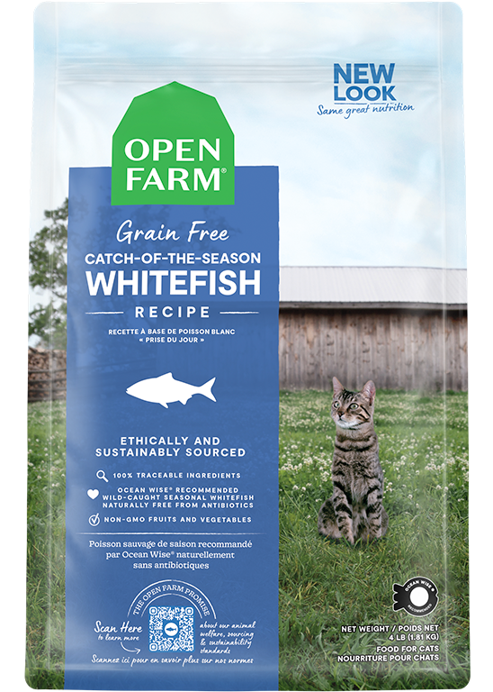 Blue cat hotsell food bag