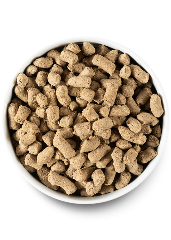 Freeze dried raw meat for clearance dogs