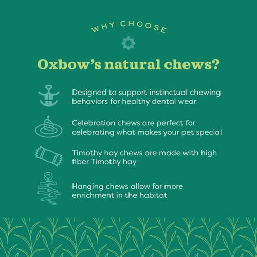 Oxbow Animal Health Enriched Life - Celebration Boquet