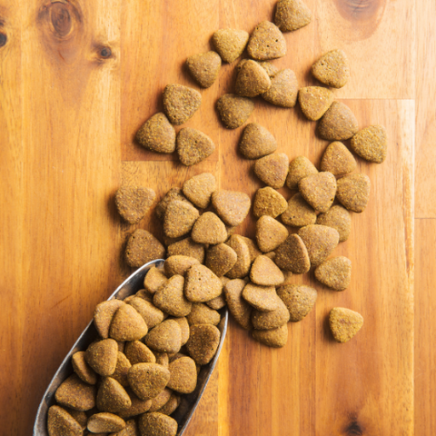 Dry Food category image