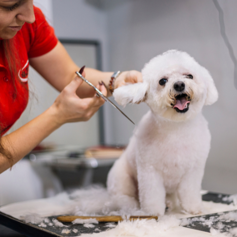 Grooming category image