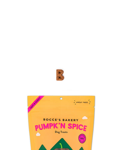 Bocce's Bakery Pumpk'n Spice Soft & Chewy Treats (6 Oz.)