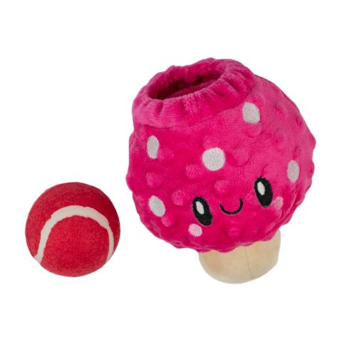 Territory Mushroom 2-in-1 Dog Toy (7)