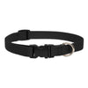 Lupine Pet Basic Solids Dog Collar