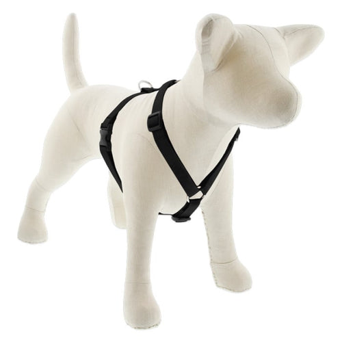 Lupine Pet Basic Solids Roman Dog Harness