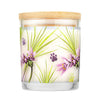 Pet House Lemongrass Candle (9 Oz)