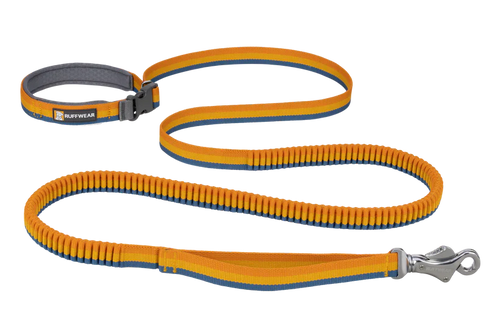 Ruffwear Roamer™ Bungee Dog Leash