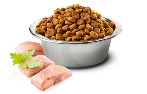 Farmina N&D Ocean Herring & Orange Adult Mini Dog Food