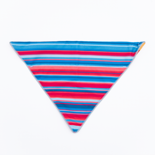 Wingo Bernie Dog Bandana