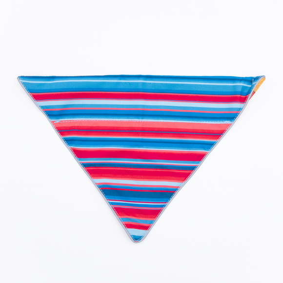 Wingo Bernie Dog Bandana