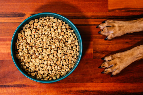 Wet Noses Oven Baked Food Kibble for Dogs - Chicken