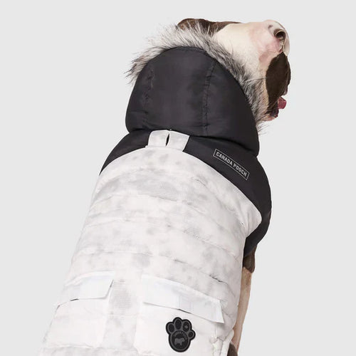 Canada Pouch Eco+ True North Parka Dog Coat (18)