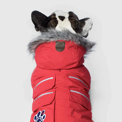 Canada Pooch Everest Explorer Jacket