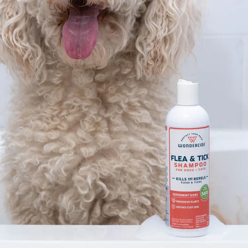 Wondercide Peppermint Scent Flea & Tick Shampoo for Dogs + Cats with Natural Essential Oils (12 oz)