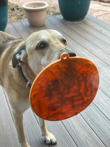 SodaPup Camp eMat Enrichment Lick Mat (8” diameter 0.25” thick, Orange)