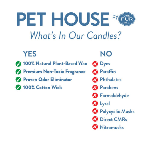Pet House Orange Spice Candle
