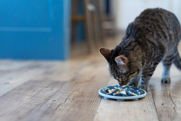 Messy Mutts Cat Interactive Slow Feeder