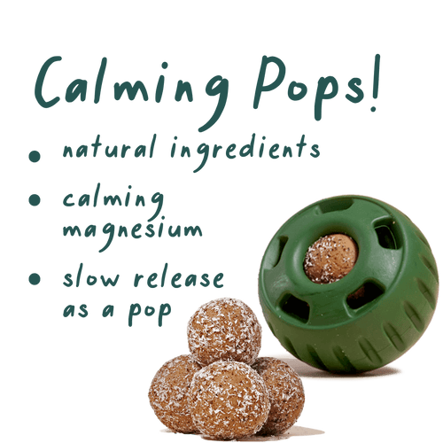 Woof Calming Vitamin Pops Dog Treats