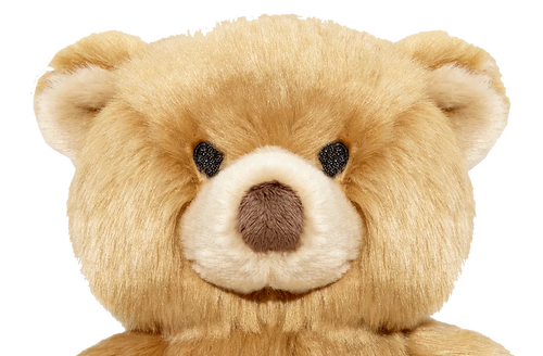 Fluff & Tuff Mr. Honey Bear (Medium)