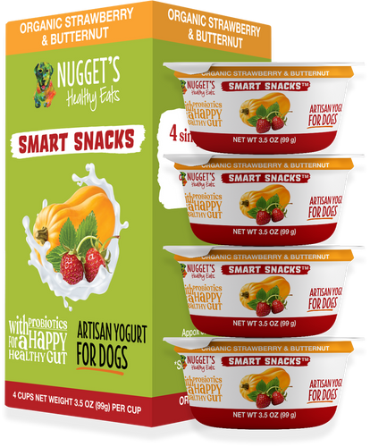 Nugget's Healthy Eats Frozen Smart Snacks Artisan Yogurt Strawberry & Butternut for Dogs (3.5 oz)