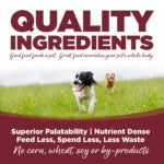 NutriSource® Beef & Rice Recipe Healthy Wet Dog Food (13 oz)