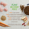 Nature's Variety Instinct Be Natural Puppy Chicken & Brown Rice Recipe Dry Dog Food