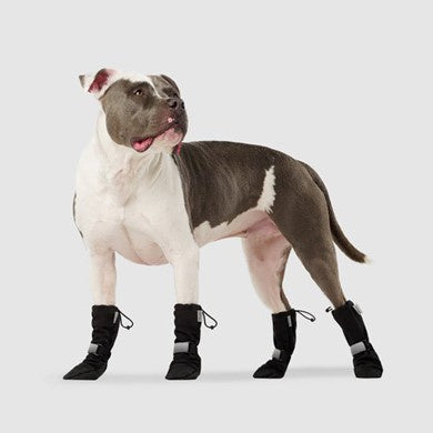 Canada Pooch Soft Shield Boots Black (1)