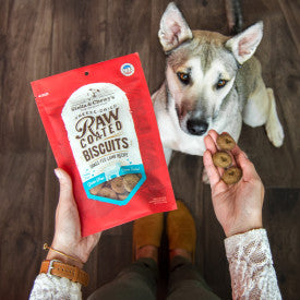 Stella & Chewy's Raw Coated Biscuits Grass Fed Lamb Recipe Dog Treats