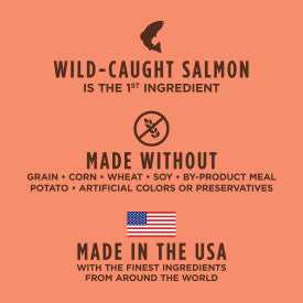 Nature's Variety Instinct Original Salmon Recipe Dry Cat Food