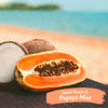 TropiClean Papaya Mist Deodorizing Spray for Pets