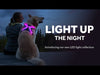 RC Pet Nova LED Light Harness