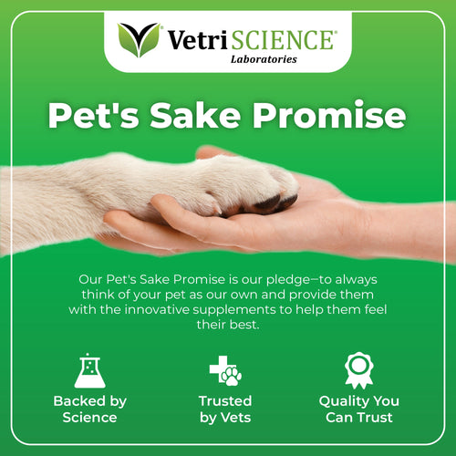 VetriScience Derma Strength™ Dog Chews
