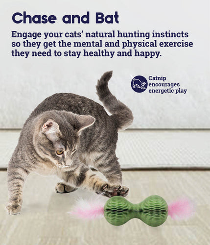 Petstages Honeycomb Hide-A-Ball Cat Toy