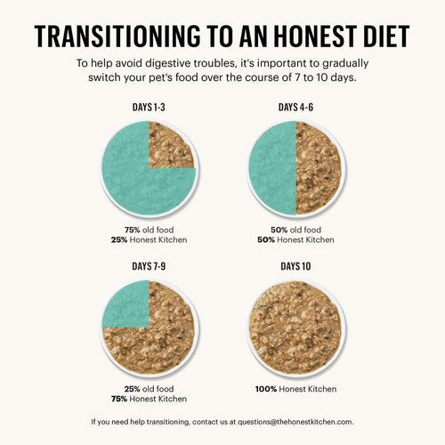 The Honest Kitchen One Pot Stews Roasted Beef Stew with Kale Sweet Potatoes & Carrots Wet Dog Food