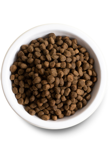 Open Farm Kind Earth Premium Insect Kibble Recipe Dry Dog Food
