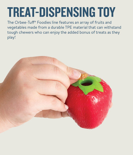Orbee-Tuff Strawberry Treat-Dispensing Dog Chew Toy