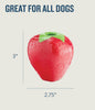Orbee-Tuff Strawberry Treat-Dispensing Dog Chew Toy