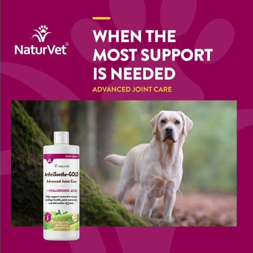 NaturVet ArthriSoothe-GOLD® Advanced Joint Care Liquid