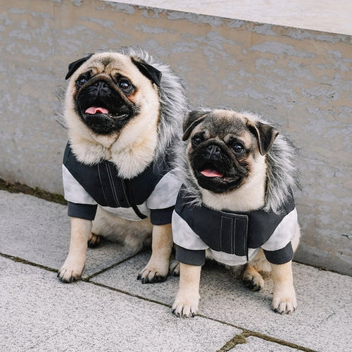 Canada Pouch Eco+ True North Parka Dog Coat