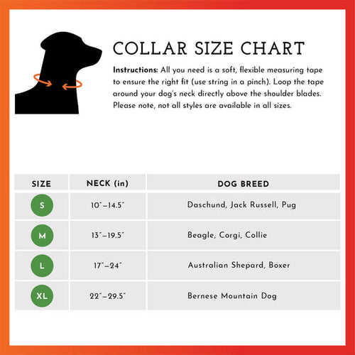 Spot the Dog Reflective Collar