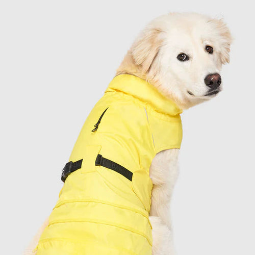 Canada Pooch Grow-With-Me Raincoat