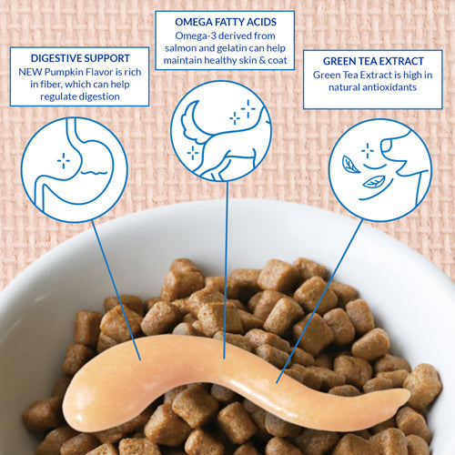 Inaba Churu Meal Topper Chicken with Salmon Recipe Dog Treats