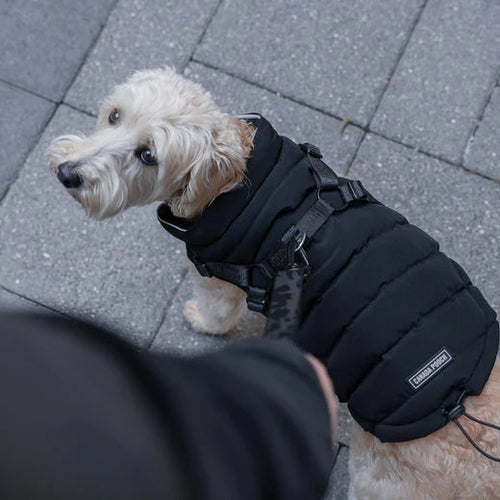 Canada Pooch Harness Puffer for Dogs