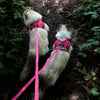 Travel Cat The Purrfectly Pink Iridescent Limited-Edition Harness & Leash Set
