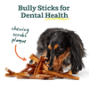Woof The BullySafe Chew Stick