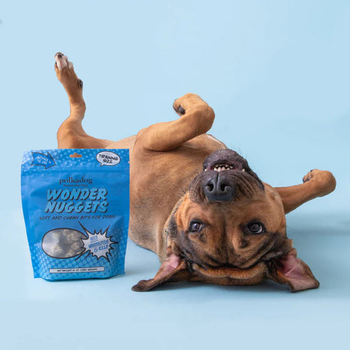 Polkadog Wonder Nuggets Whitefish & Kelp Dog Treats